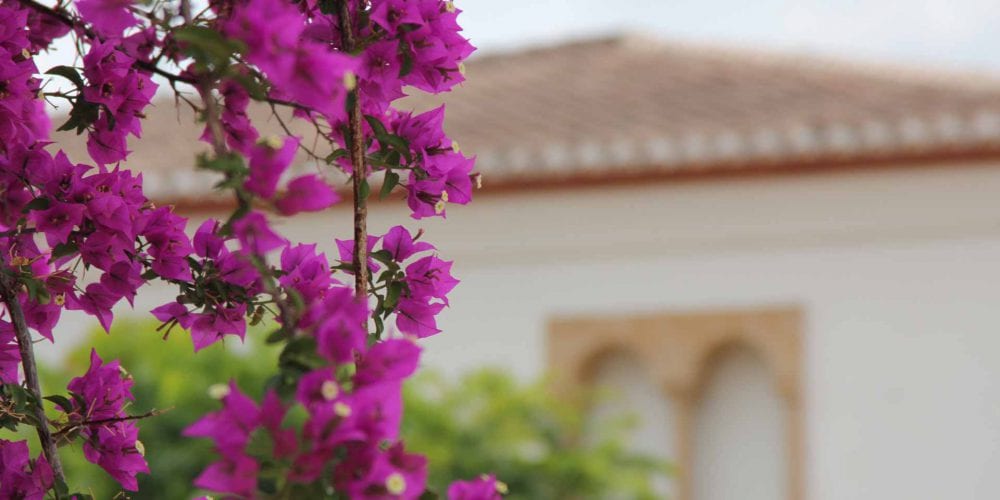 investeren in vastgoed in spanje is een goede keus