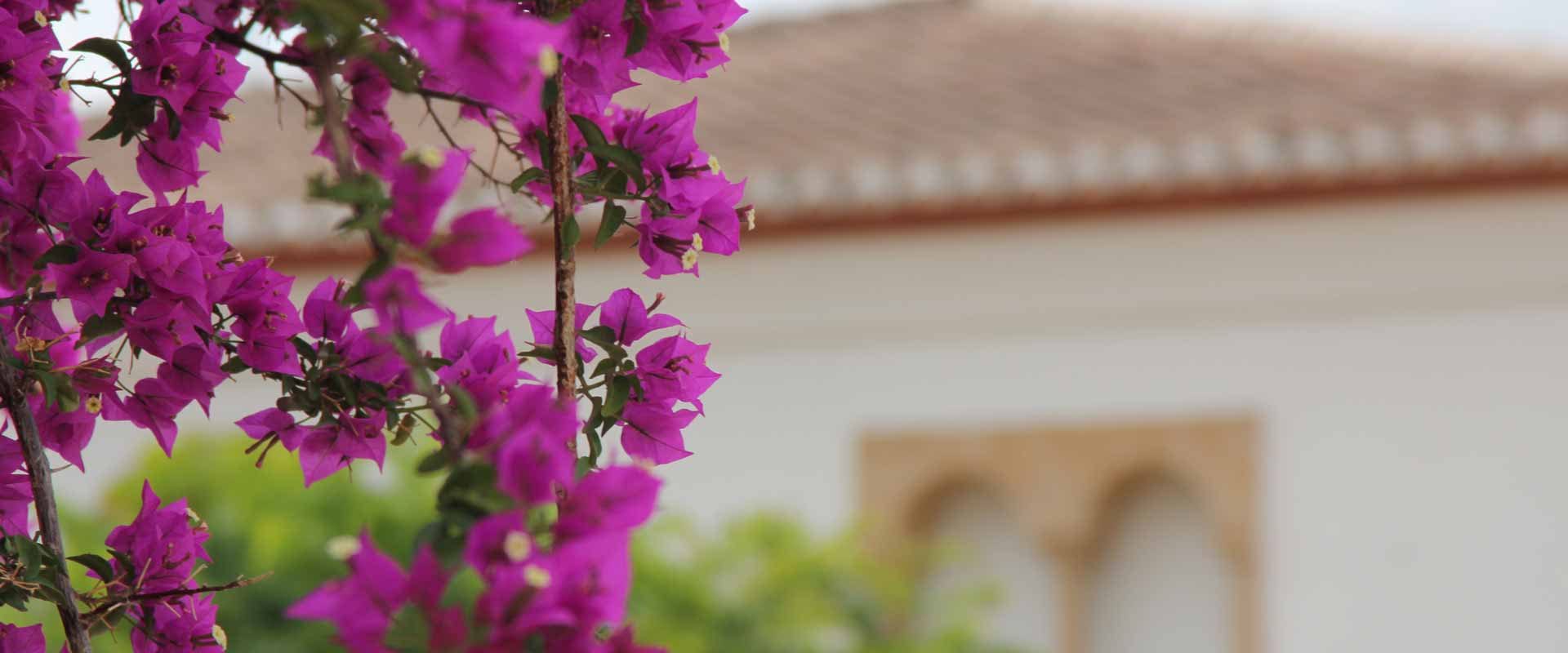 investeren in vastgoed in spanje is een goede keus